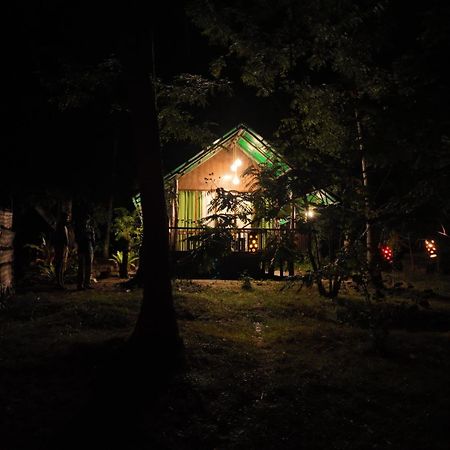 ホテル Coconut Tree House ウダワラウェ エクステリア 写真