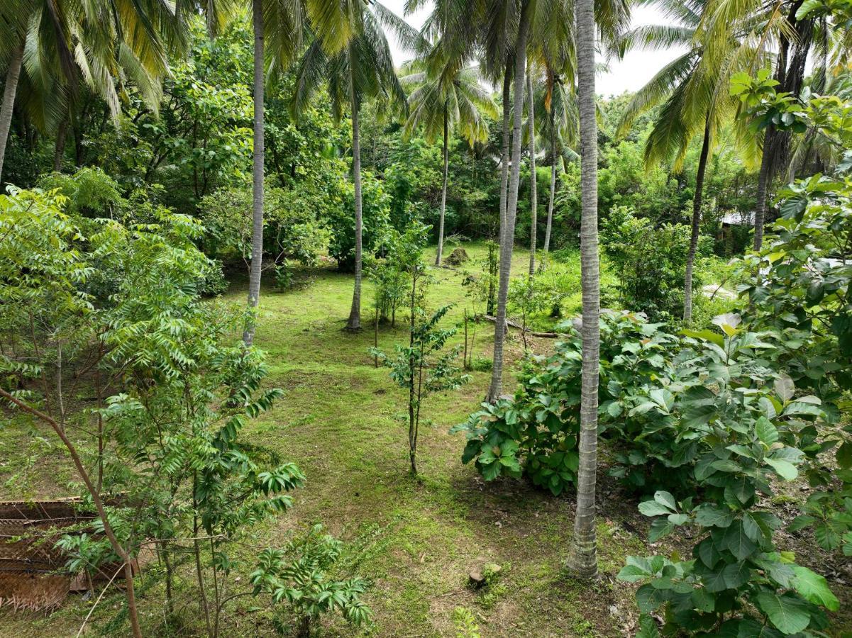 ホテル Coconut Tree House ウダワラウェ エクステリア 写真