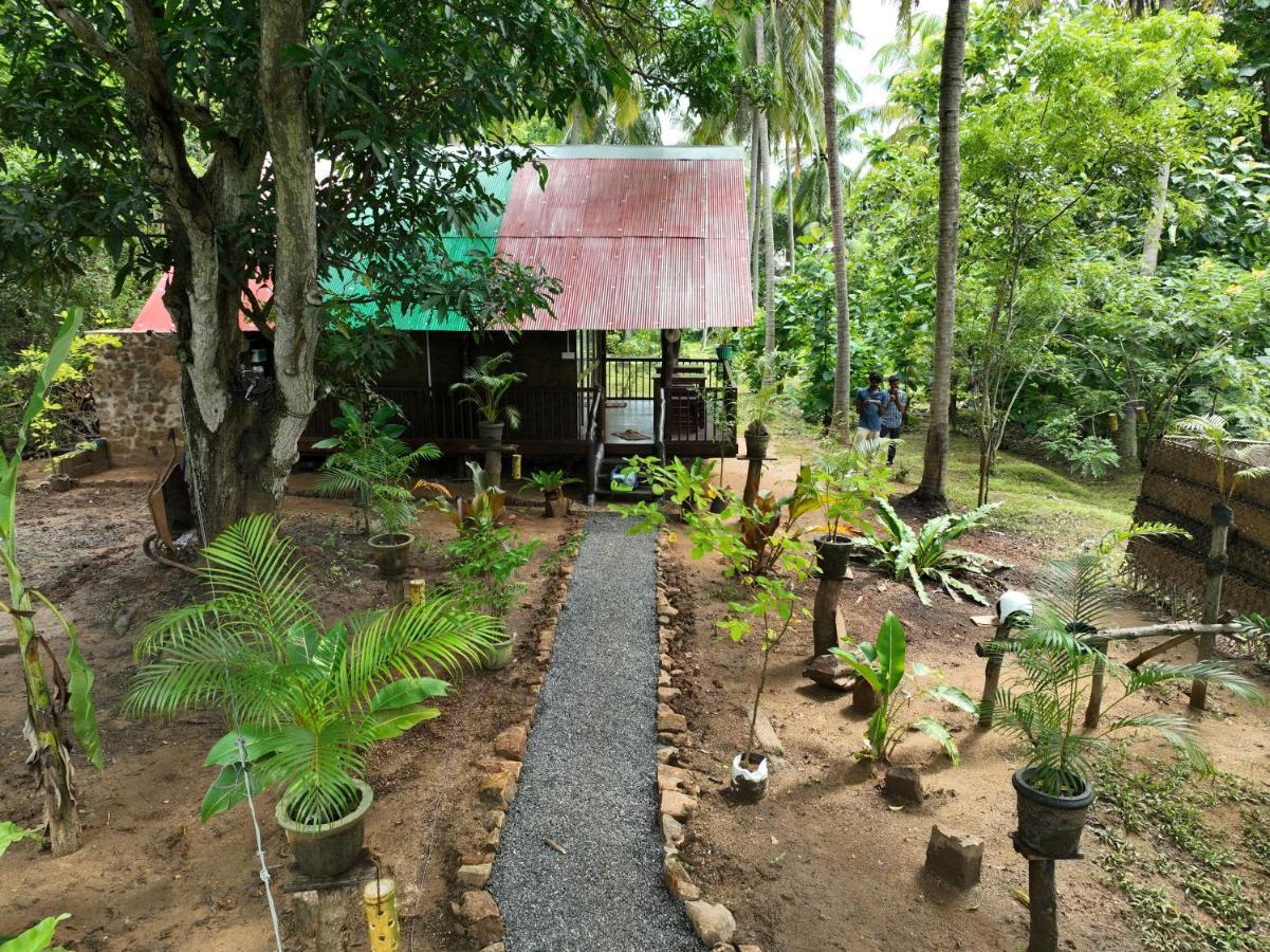 ホテル Coconut Tree House ウダワラウェ エクステリア 写真