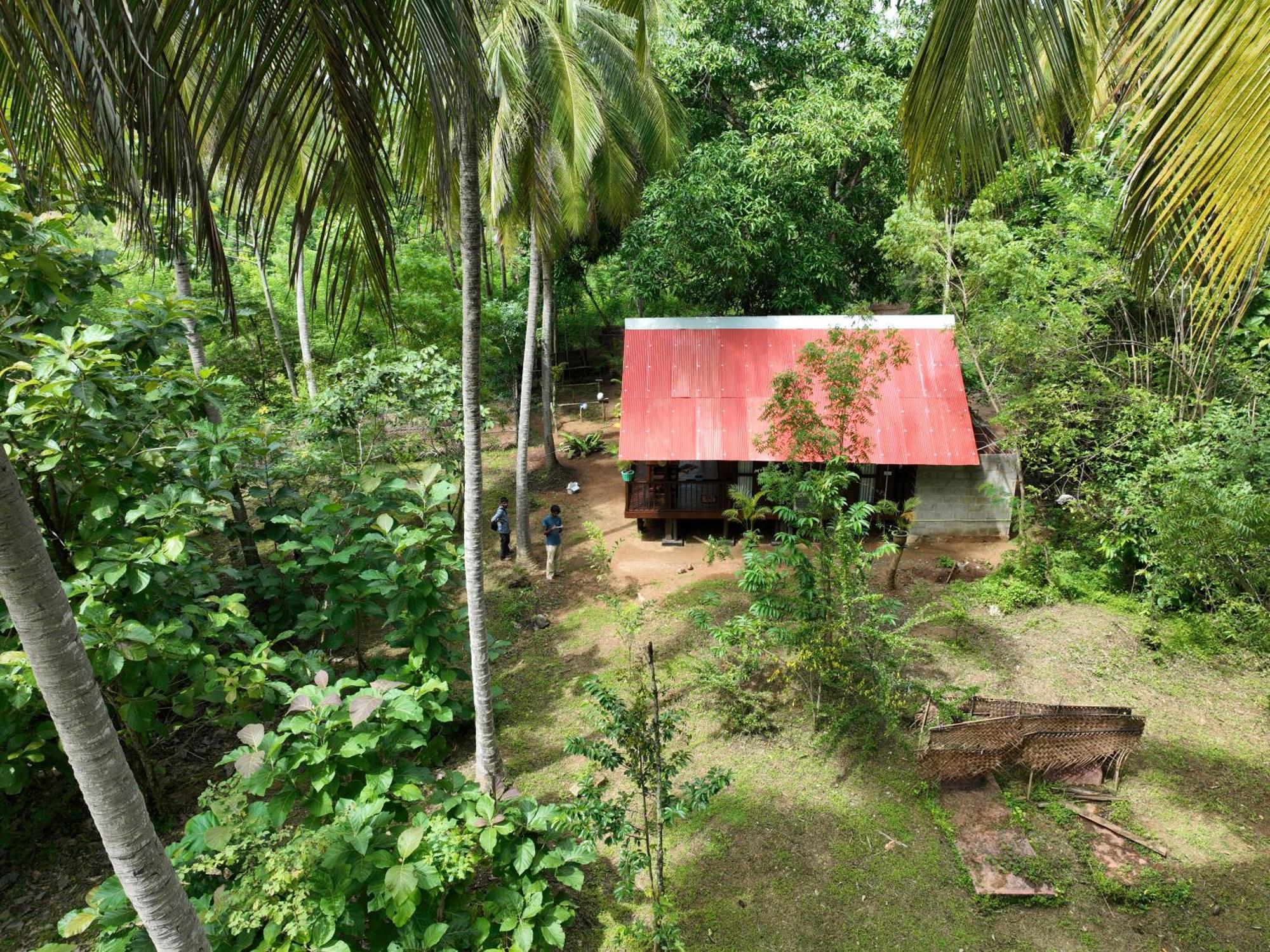 ホテル Coconut Tree House ウダワラウェ エクステリア 写真