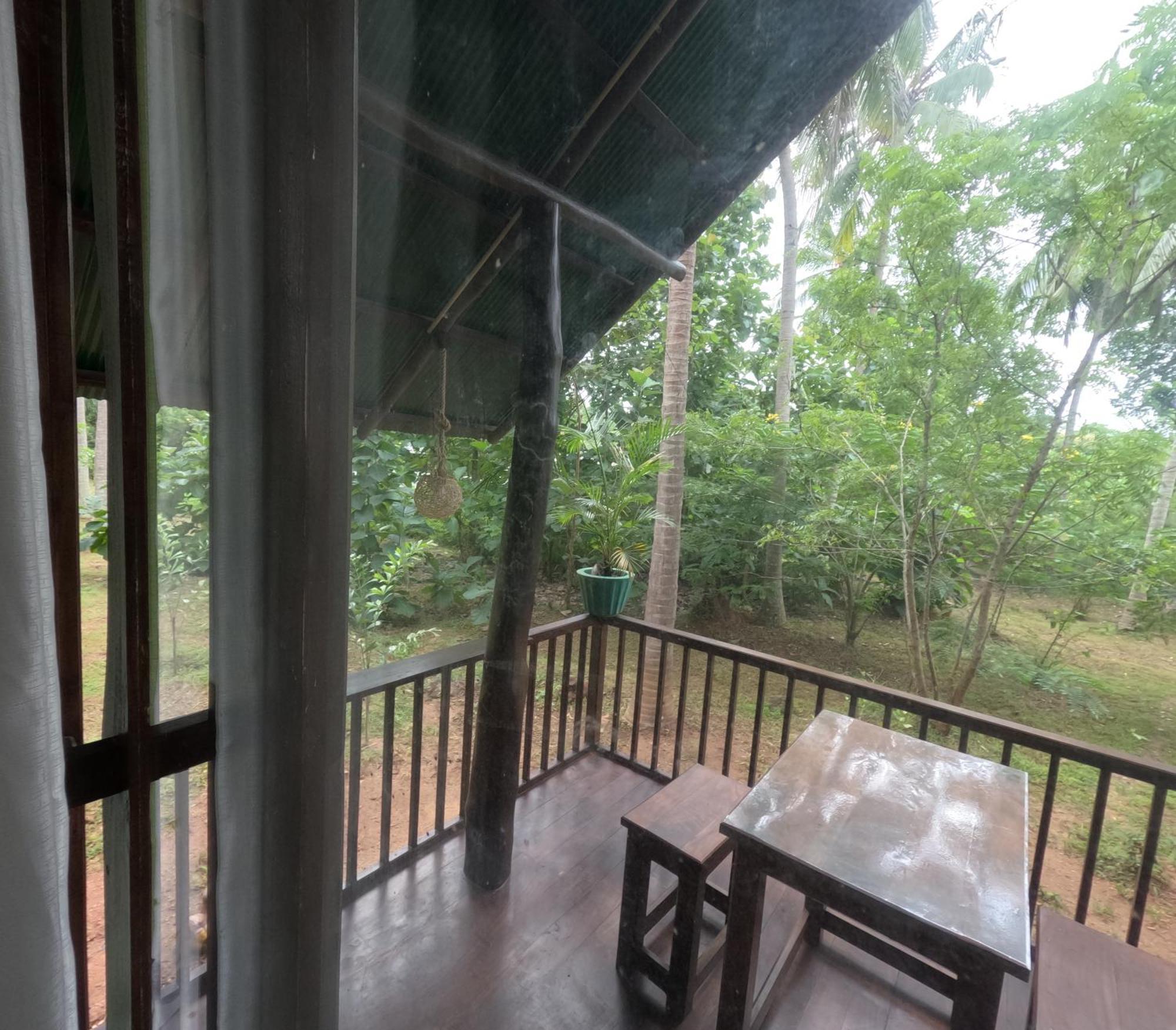 ホテル Coconut Tree House ウダワラウェ エクステリア 写真