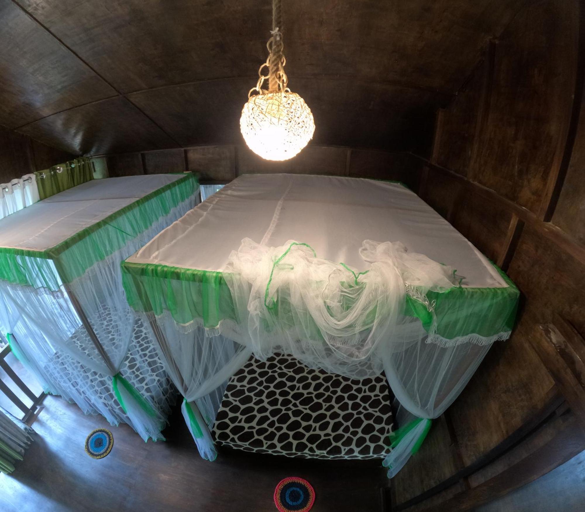 ホテル Coconut Tree House ウダワラウェ エクステリア 写真