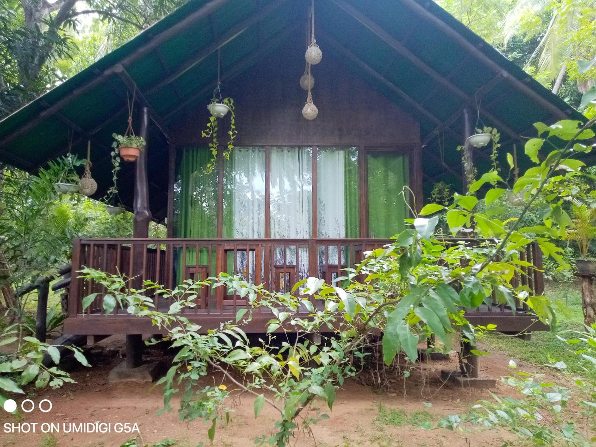 ホテル Coconut Tree House ウダワラウェ エクステリア 写真
