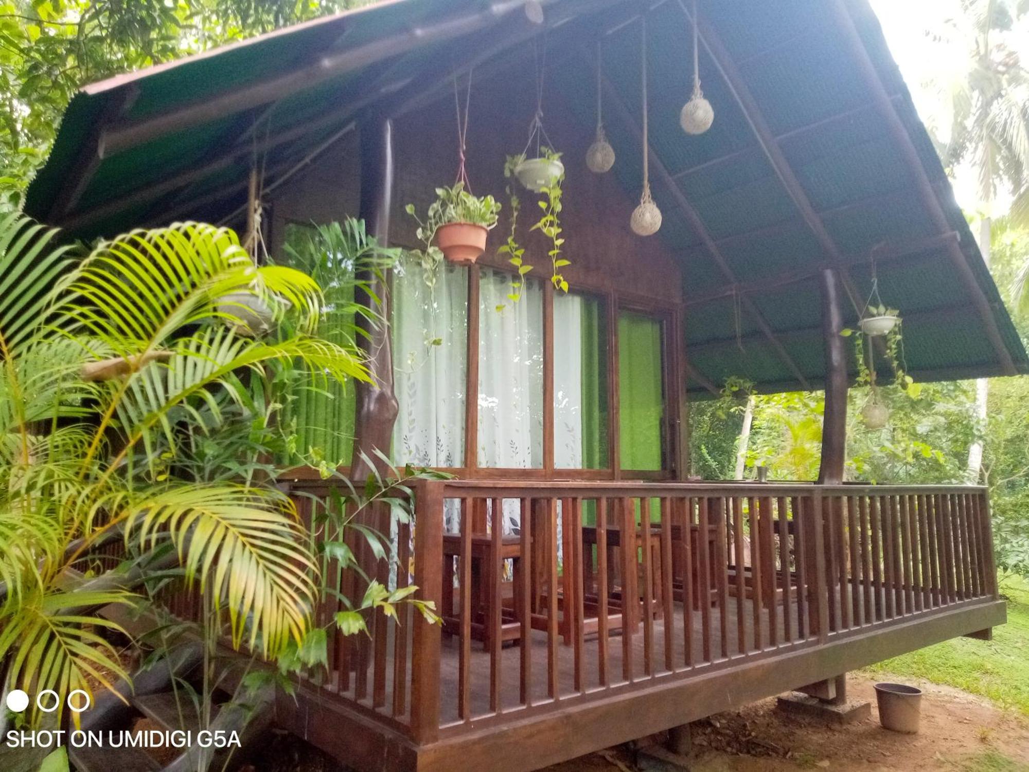 ホテル Coconut Tree House ウダワラウェ エクステリア 写真