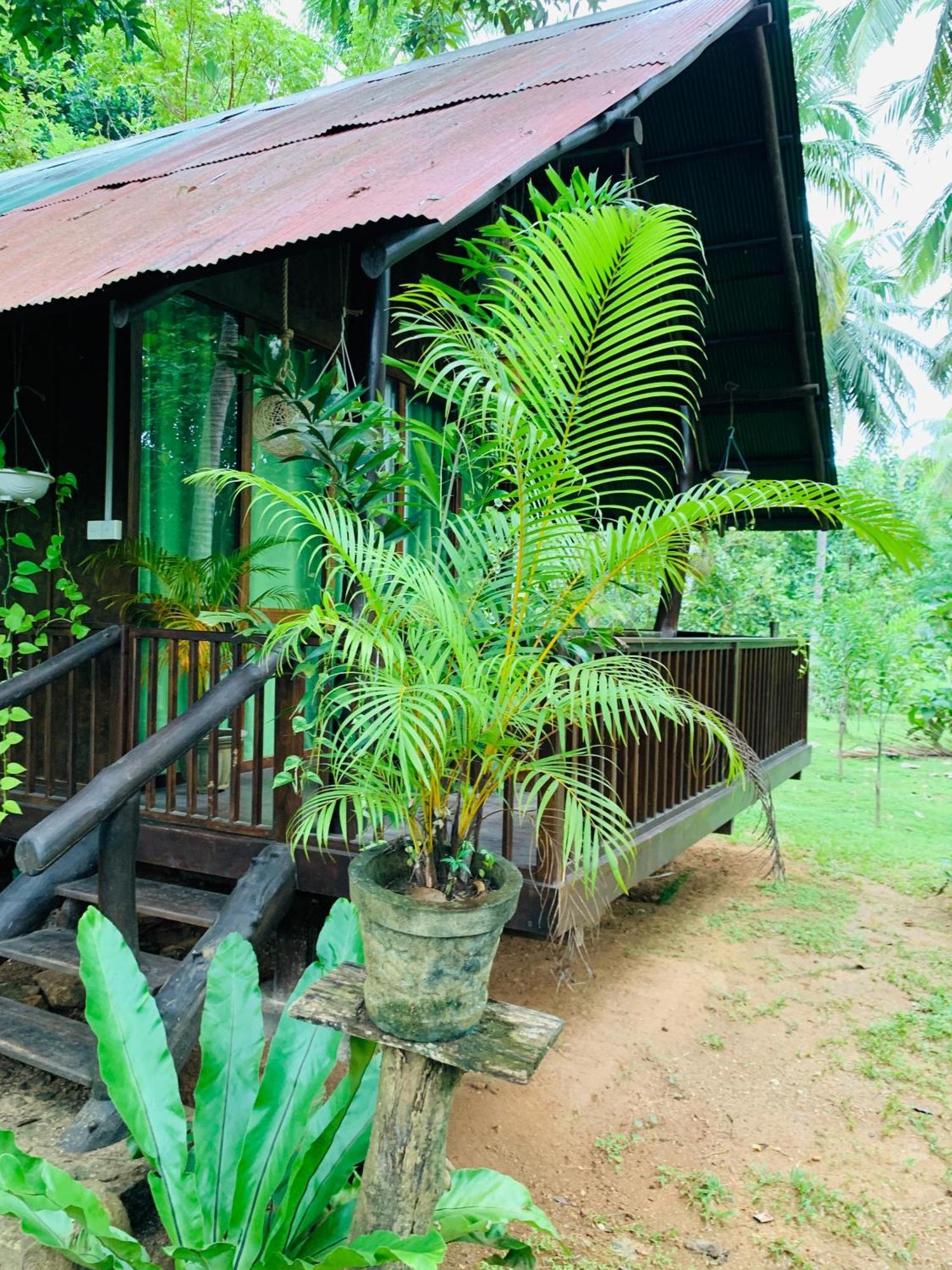 ホテル Coconut Tree House ウダワラウェ エクステリア 写真