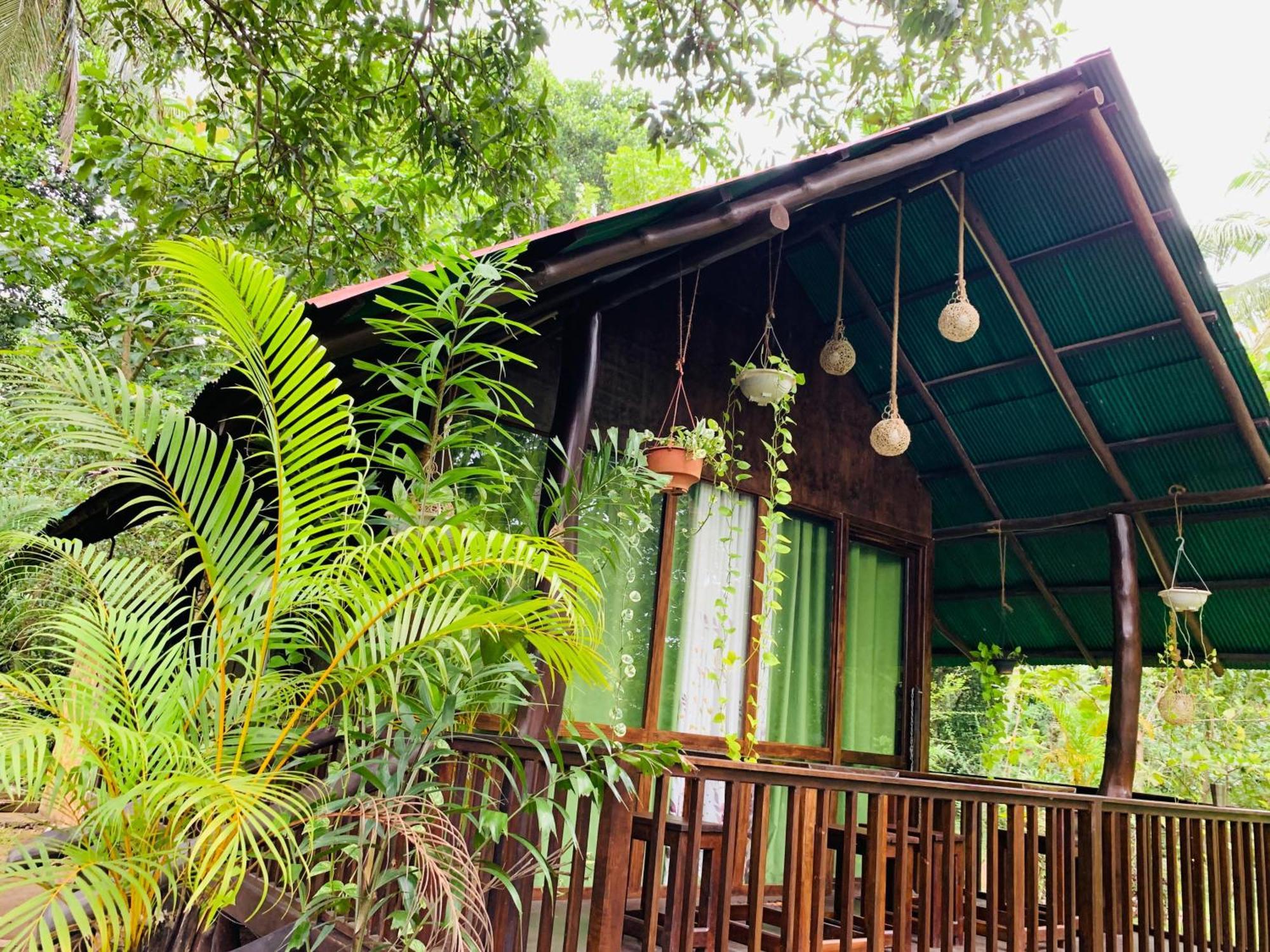 ホテル Coconut Tree House ウダワラウェ エクステリア 写真