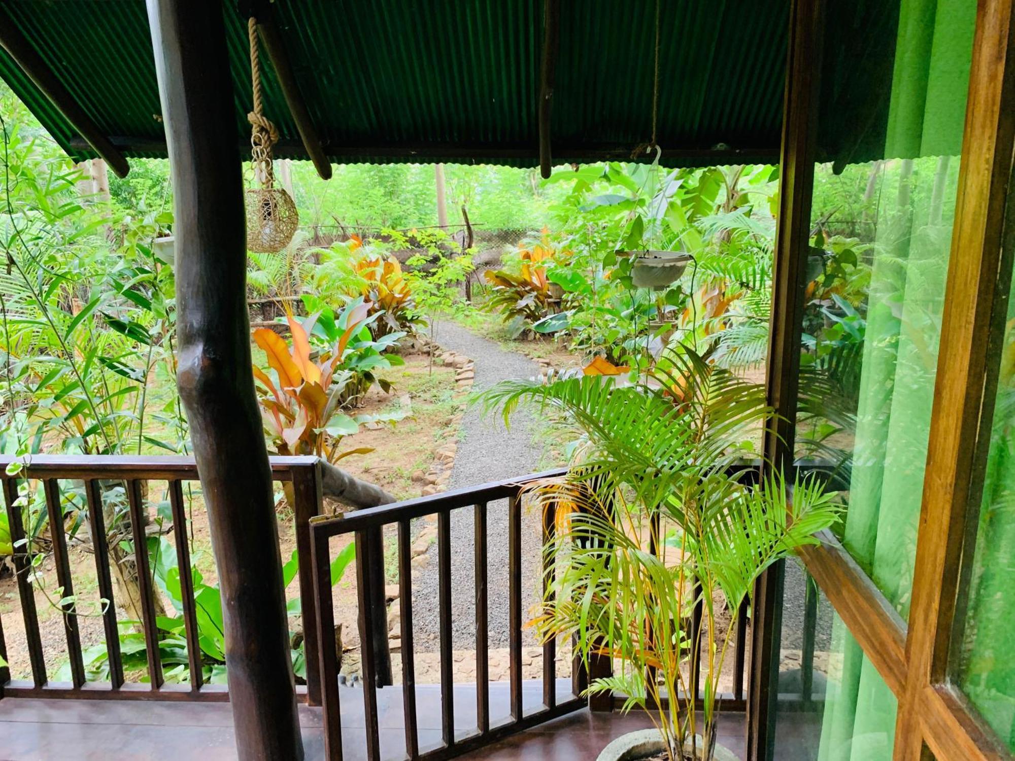 ホテル Coconut Tree House ウダワラウェ エクステリア 写真