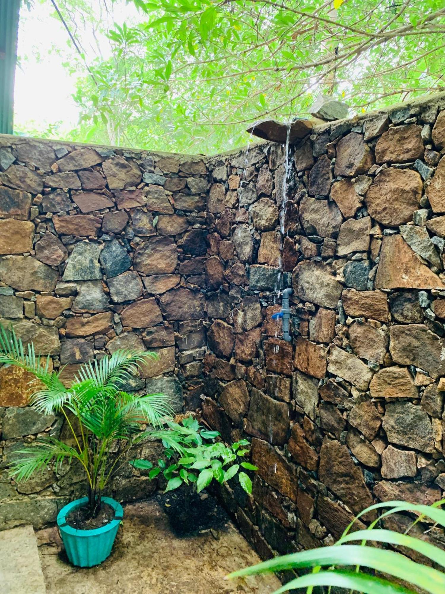 ホテル Coconut Tree House ウダワラウェ エクステリア 写真