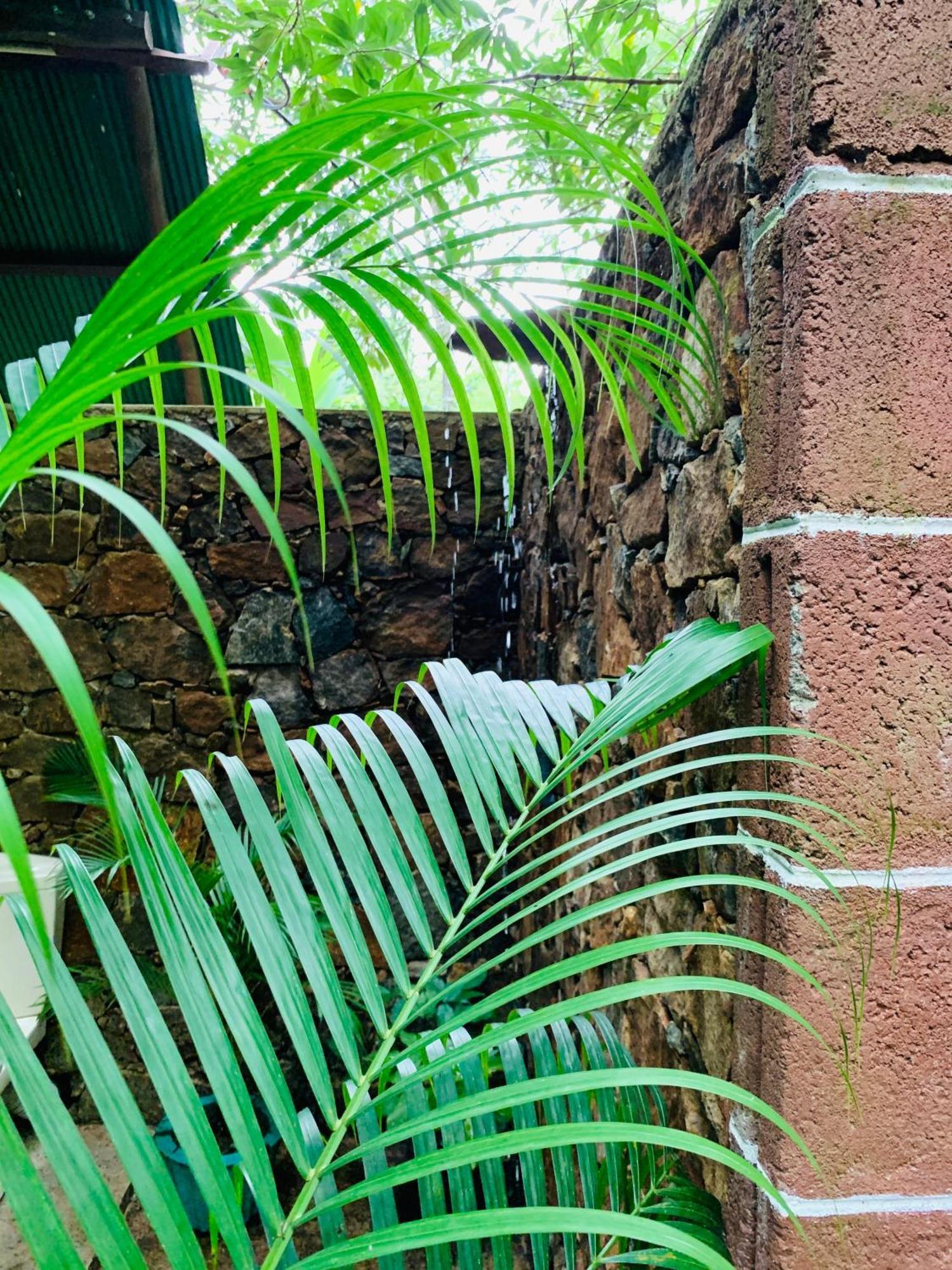 ホテル Coconut Tree House ウダワラウェ エクステリア 写真