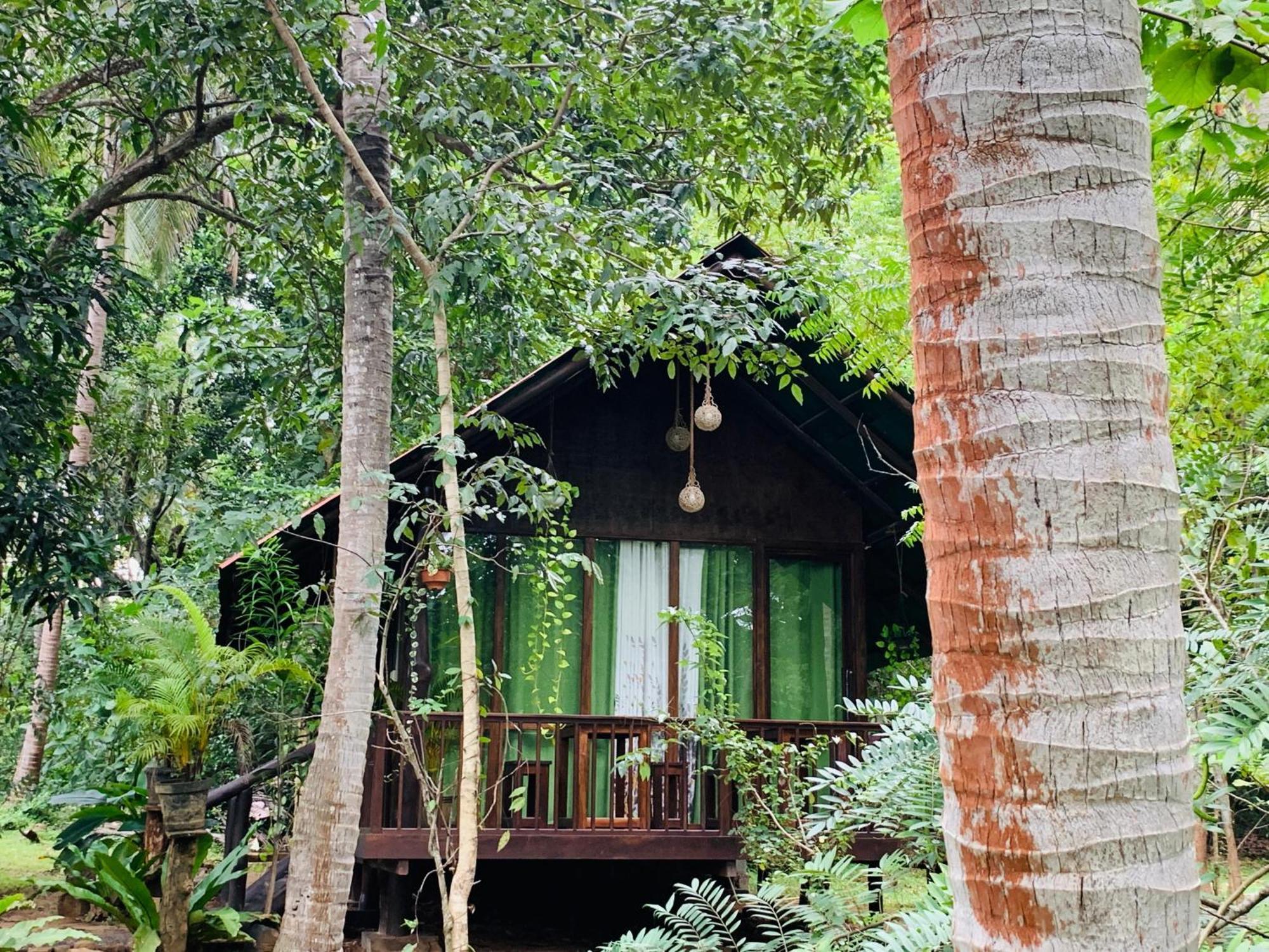 ホテル Coconut Tree House ウダワラウェ エクステリア 写真